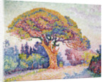 Le Pin de Bertaud at Saint-Tropez, 1909. by Paul Signac