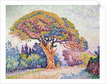 Le Pin de Bertaud at Saint-Tropez, 1909. by Paul Signac