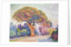 Le Pin de Bertaud at Saint-Tropez, 1909. by Paul Signac