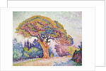 Le Pin de Bertaud at Saint-Tropez, 1909. by Paul Signac