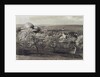 View of the Goetheanum and Heating House, Dornach, Switzerland, 1914-1916 by Unknown