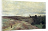 Heather covered hills near Vimoutier, 1860s by Anonymous