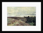 Heather covered hills near Vimoutier, 1860s by Anonymous