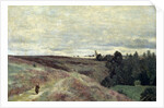 Heather covered hills near Vimoutier, 1860s by Anonymous