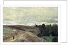 Heather covered hills near Vimoutier, 1860s by Anonymous