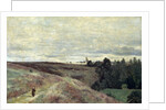 Heather covered hills near Vimoutier, 1860s by Anonymous
