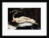Woman with a Parrot, 1866. by Gustave Courbet