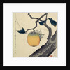 Moon, Persimmon and Grasshopper by HOKUSAI