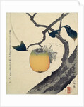 Moon, Persimmon and Grasshopper by HOKUSAI