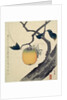 Moon, Persimmon and Grasshopper by HOKUSAI