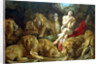 Daniel in the Lions Den, c1615 by Peter Paul Rubens