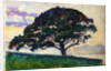 Large Pine, Saint-Tropez, 1892-1893. by Paul Signac