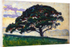 Large Pine, Saint-Tropez, 1892-1893. by Paul Signac
