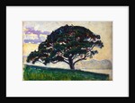 Large Pine, Saint-Tropez, 1892-1893. by Paul Signac