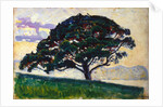 Large Pine, Saint-Tropez, 1892-1893. by Paul Signac