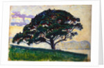 Large Pine, Saint-Tropez, 1892-1893. by Paul Signac