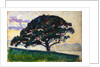 Large Pine, Saint-Tropez, 1892-1893. by Paul Signac