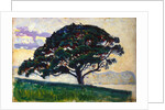 Large Pine, Saint-Tropez, 1892-1893. by Paul Signac
