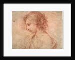 Breast portrait of a young female, 17th century by Guercino