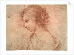 Breast portrait of a young female, 17th century by Guercino