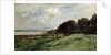 The Seashore near Villerville, 1875. by Charles François Daubigny