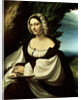 Female portrait, c1518. by Correggio