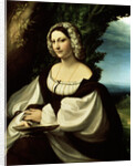 Female portrait, c1518. by Correggio