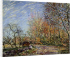 At the edge of the forest in Fontainebleau, 1885. by Alfred Sisley