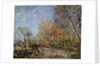 At the edge of the forest in Fontainebleau, 1885. by Alfred Sisley