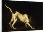 A Dog, 17th century by Frans Snyders