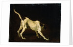 A Dog, 17th century by Frans Snyders