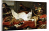 Still life with a Swan, 1640s by Frans Snyders