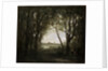 Scene near a Lake, 1860-1873. by Jean-Baptiste-Camille Corot