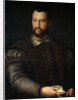 Portrait of Grand Duke of Tuscany Cosimo I de Medici,, after 1560. by Agnolo Bronzino