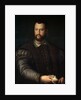 Portrait of Grand Duke of Tuscany Cosimo I de Medici,, after 1560. by Agnolo Bronzino