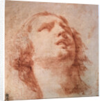 Head study of a woman looking up, 17th century by Pietro da Cortona
