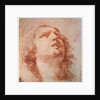 Head study of a woman looking up, 17th century by Pietro da Cortona