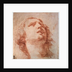 Head study of a woman looking up, 17th century by Pietro da Cortona