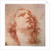 Head study of a woman looking up, 17th century by Pietro da Cortona