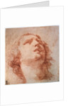 Head study of a woman looking up, 17th century by Pietro da Cortona
