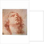 Head study of a woman looking up, 17th century by Pietro da Cortona