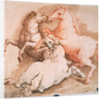 Fighting Horses, c1550-1600 by Unknown Old Master