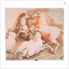 Fighting Horses, c1550-1600 by Unknown Old Master