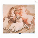 Fighting Horses, c1550-1600 by Unknown Old Master