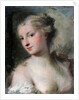 Diana, after 1746. by Rosalba Giovanna Carriera