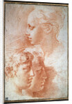 Study of the heads, c1527 by Parmigianino