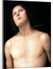 Saint Sebastian, between 1493 and 1494. by Perugino