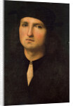 Portrait of a Young Man, between 1495 and 1500. by Perugino