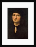 Portrait of a Young Man, between 1495 and 1500. by Perugino