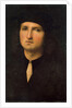 Portrait of a Young Man, between 1495 and 1500. by Perugino